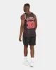 Mitchell & Ness Chicago Bulls Scottie Pippen '95-'96 #33 Swingman Jersey Black sold by Culture Kings