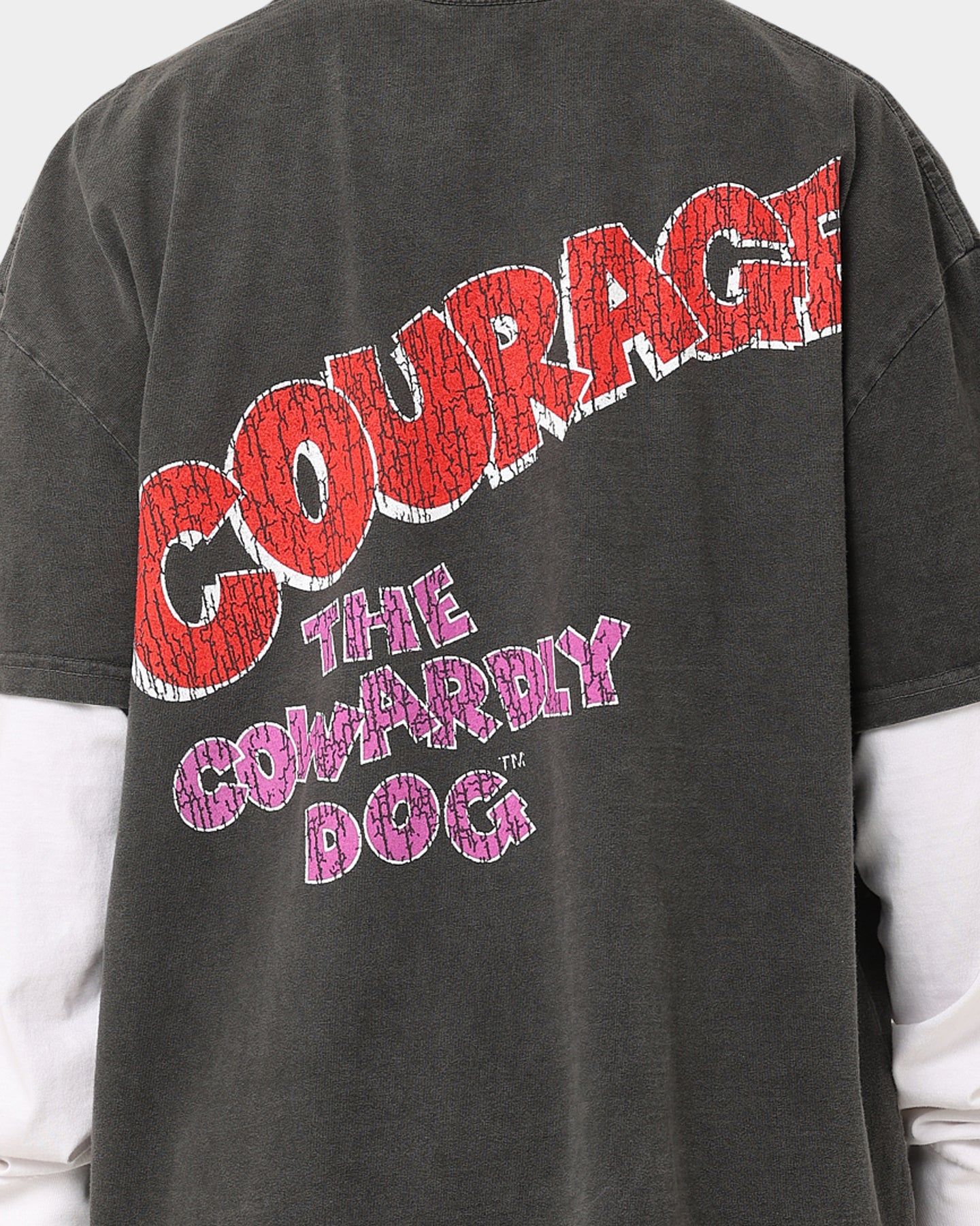 American Thrift X Cartoon Network Courage Heavyweight T-Shirt Black Wash sold by Culture Kings product image thumbnail 7