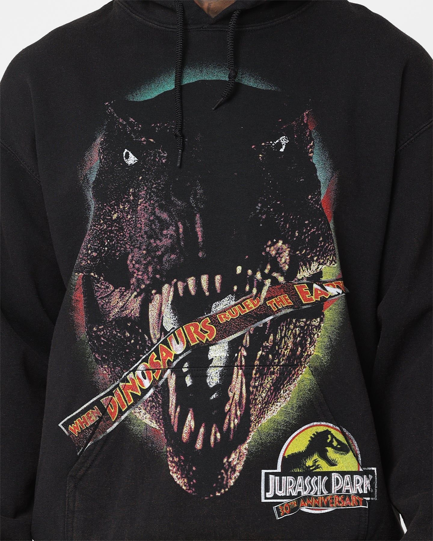 American Thrift X Jurassic Park 30th Anniversary Hoodie Black Wash sold by Culture Kings product image thumbnail 4