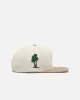 New Era Boston Celtics 'Summer League' 59FIFTY A-Frame Fitted Chrome sold by Culture Kings