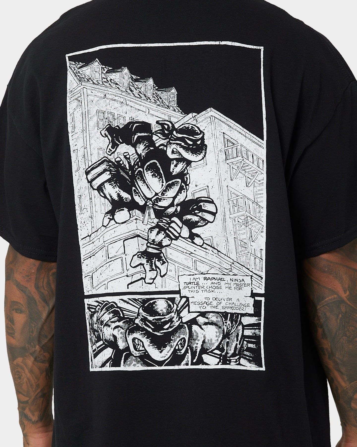 American Thrift X Teenage Mutant Ninja Turtles Raphael Vintage T-Shirt Black sold by Culture Kings product image thumbnail 5