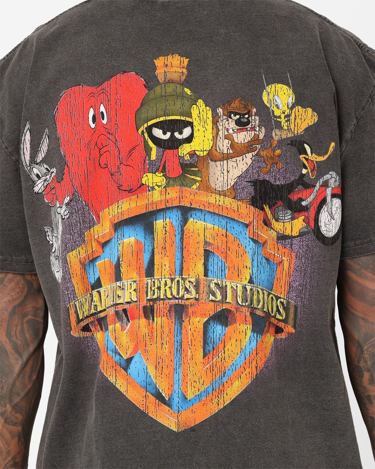 American Thrift X Warner Bros. Marvin The Martian Vintage Heavyweight T-Shirt Black Wash sold by Culture Kings product image thumbnail 5