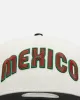 New Era Mexico National Baseball Team 'Mexico Variety Pack' 9FORTY A-Frame Snapback Chrome/Black sold by Culture Kings