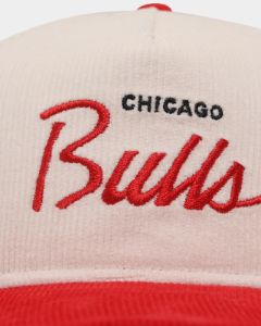 New Era Chicago Bulls 'Chrome Corduroy Throwback Script' Golfer Snapback Chrome White sold by Culture Kings