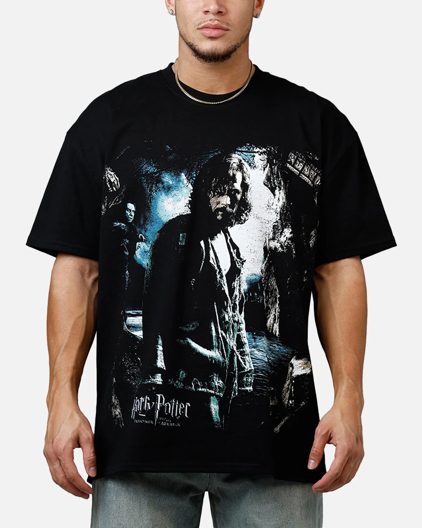 Goat Crew X Harry Potter Sirius Heavyweight T-Shirt Black sold by Culture Kings