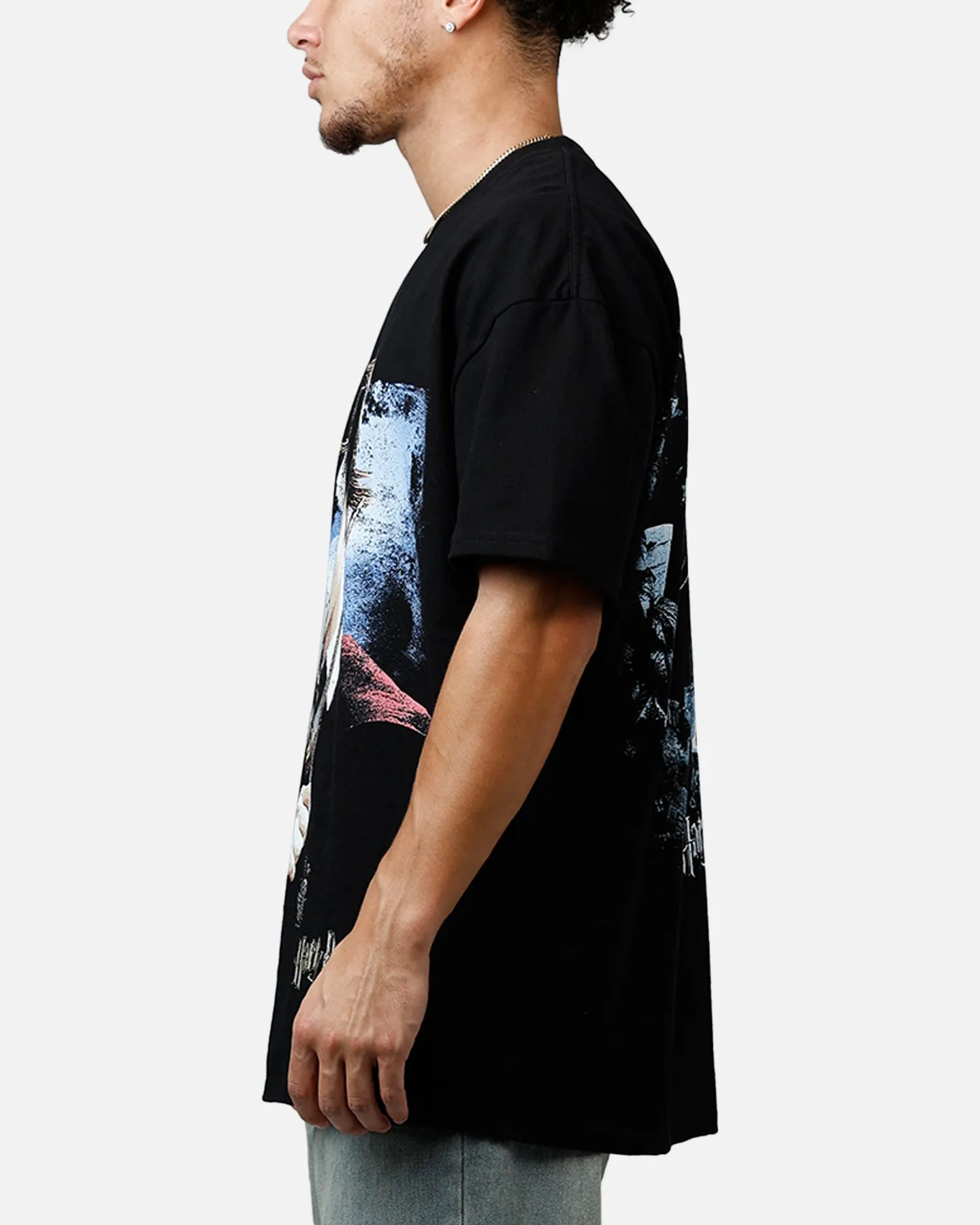 Goat Crew X Harry Potter Heavyweight T-Shirt Black sold by Culture Kings product image thumbnail 5