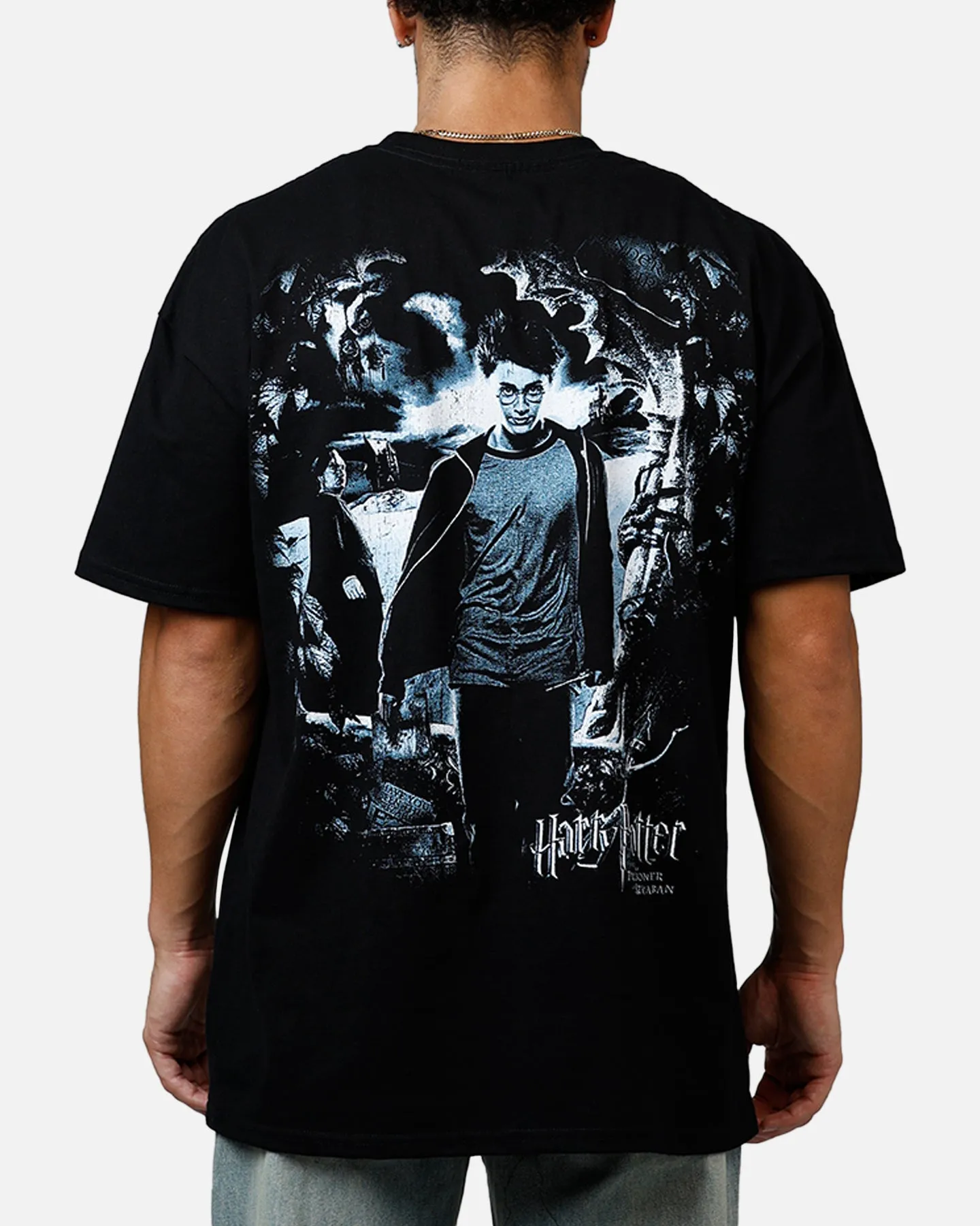 Goat Crew X Harry Potter Heavyweight T-Shirt Black sold by Culture Kings product image thumbnail 2