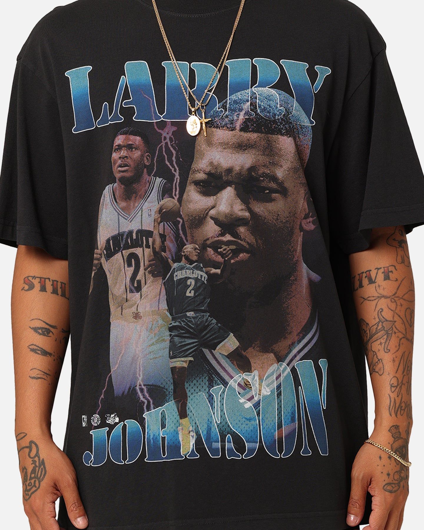 Mitchell & Ness Charlotte Hornets Larry Johnson Player & Stats T-Shirt Black sold by Culture Kings product image thumbnail 4
