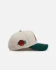 New Era Los Angeles Lakers 'Citrus' 9FORTY A-Frame Snapback Chrome/Green/Orange sold by Culture Kings