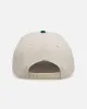 New Era Detroit Tigers 'Citrus' 9FORTY A-Frame Snapback Chrome/Green/Orange sold by Culture Kings