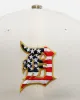 New Era Detroit Tigers 'Stars And Stripes' 59FIFTY Fitted Chrome sold by Culture Kings