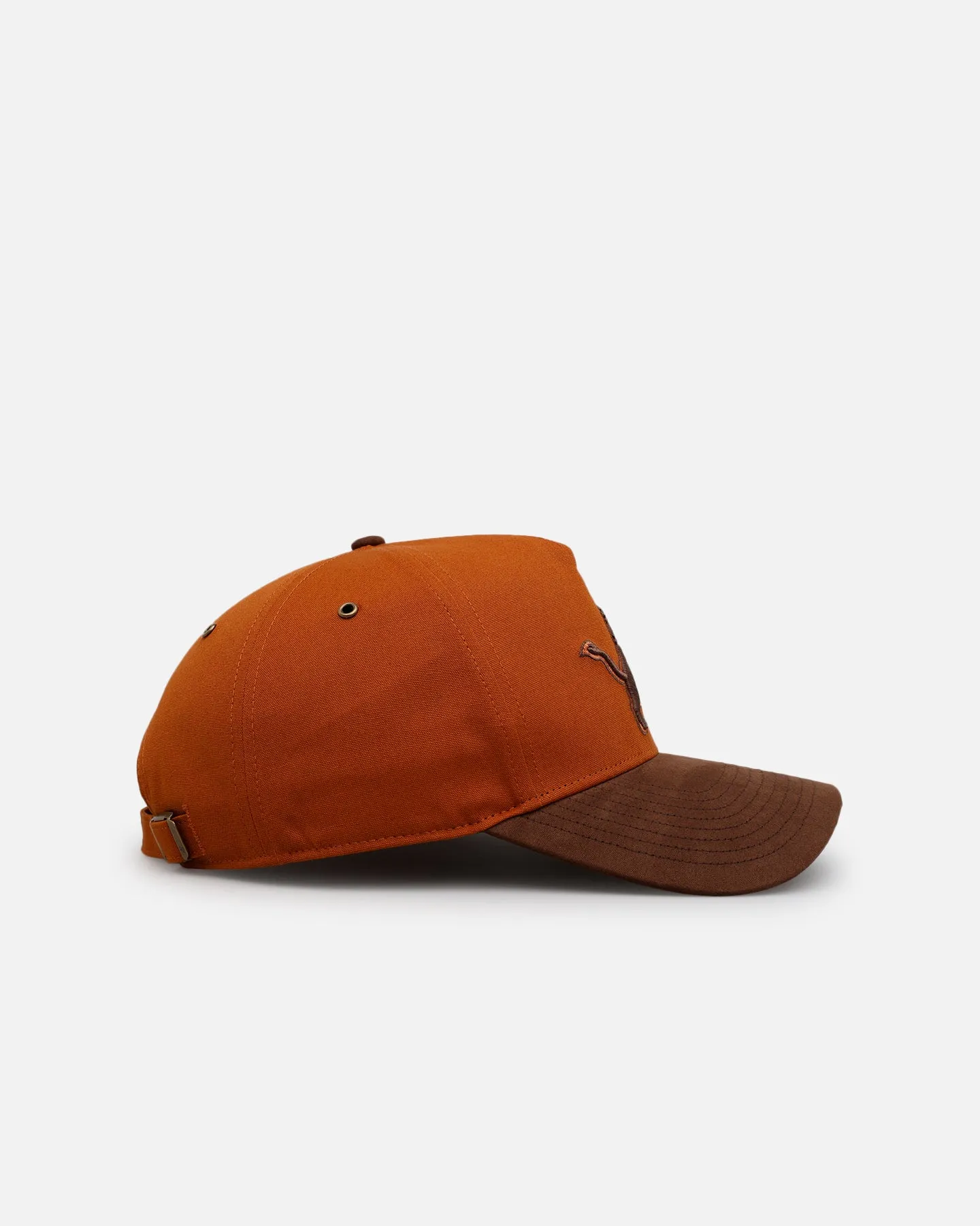 47 Brand Detroit Lions 'Pumpkin Pie' 47 Offside Strapback Pumpkin Spice sold by Culture Kings product image thumbnail 3