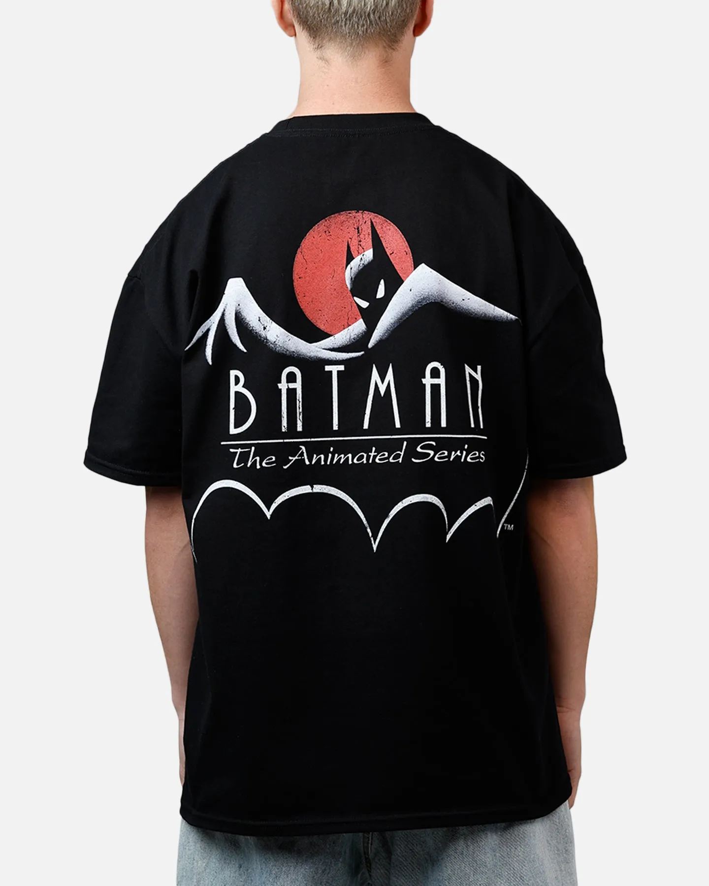 73Studio X DC 1992 Batman And Robin Heavyweight T-Shirt Black sold by Culture Kings product image thumbnail 2