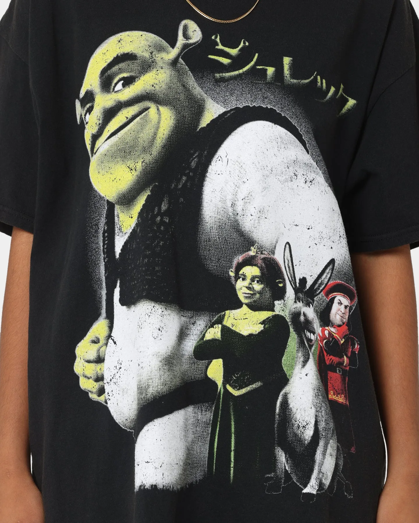 Goat Crew Ogre Vintage T-Shirt Vintage Wash sold by Culture Kings product image thumbnail 3