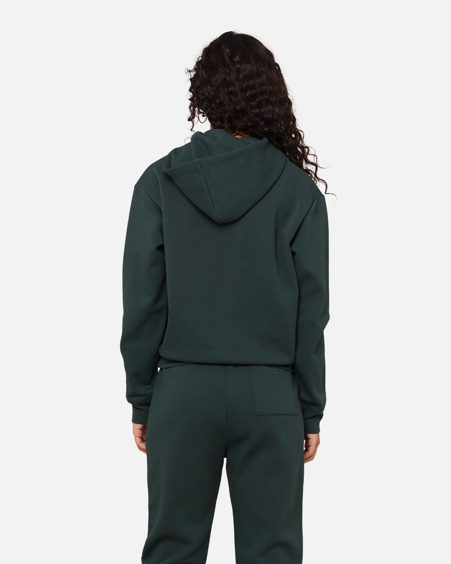 Champion Women's Rochester Tech Hoodie Baby Spinach sold by Culture Kings product image thumbnail 4