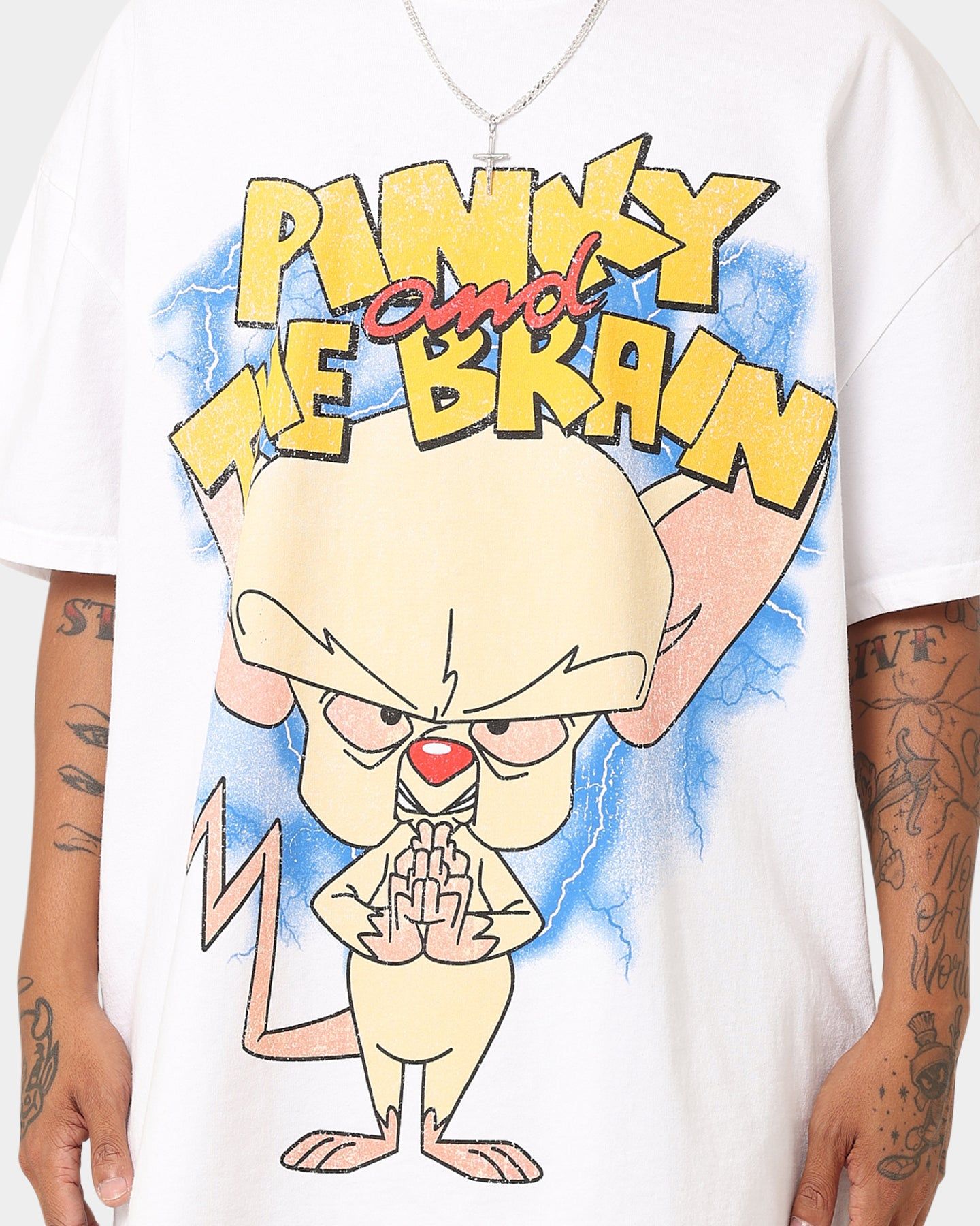 American Thrift X Cartoon Network Pinky & The Brain Heavyweight Vintage T-Shirt White sold by Culture Kings product image thumbnail 5