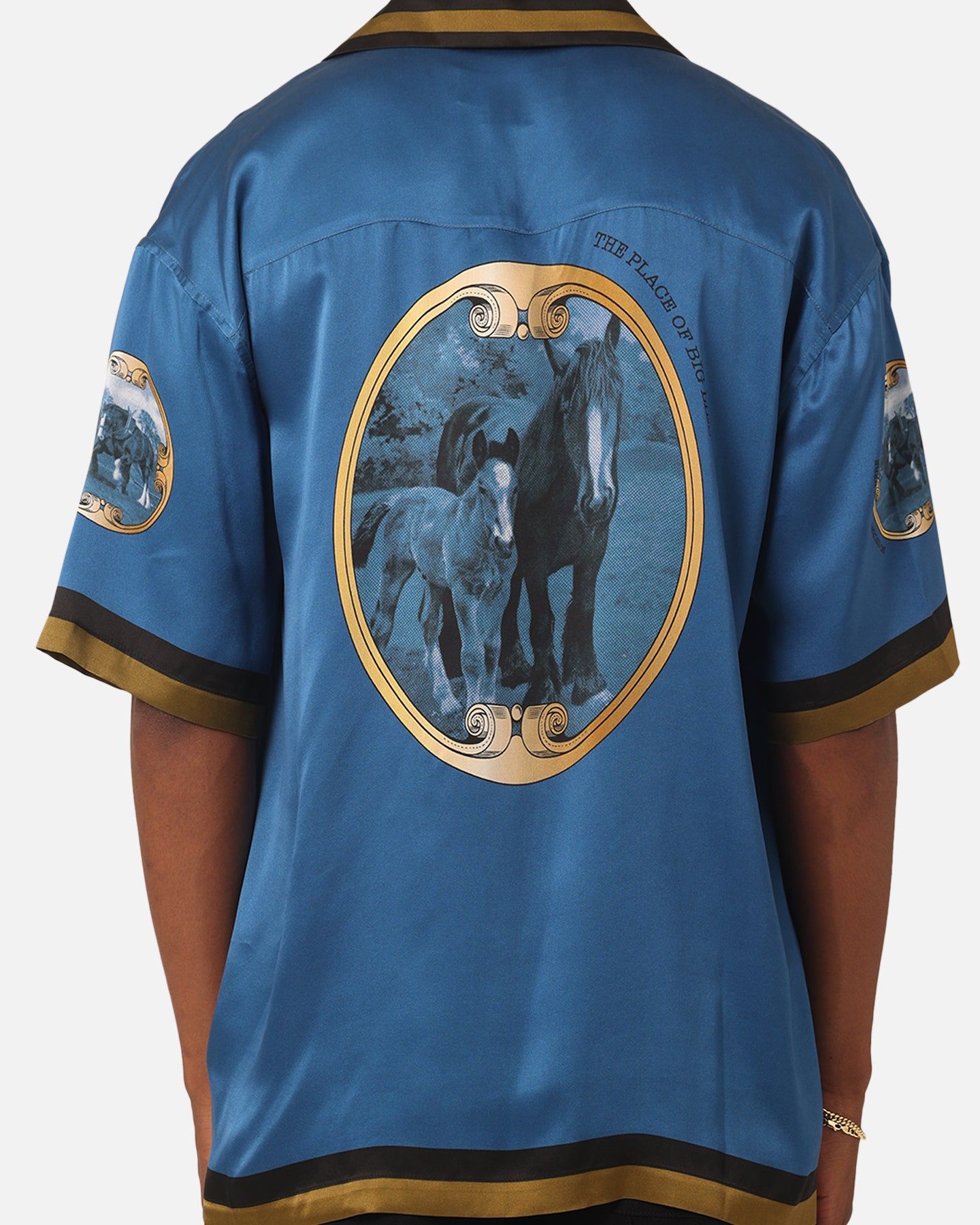 99 Cabana Country Club Silk Shirt Blue sold by Culture Kings product image thumbnail 5