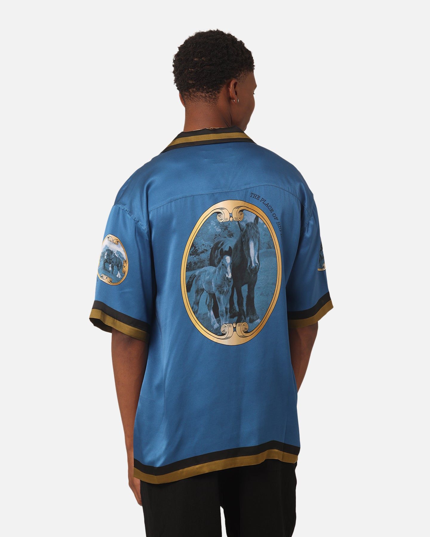 99 Cabana Country Club Silk Shirt Blue sold by Culture Kings product image thumbnail 2