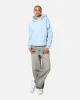 Adidas Women's Graphic Hoodie Clear Sky Mel sold by Culture Kings