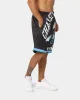 Mitchell & Ness Charlotte Hornets Blown Out Fashion Shorts Black sold by Culture Kings