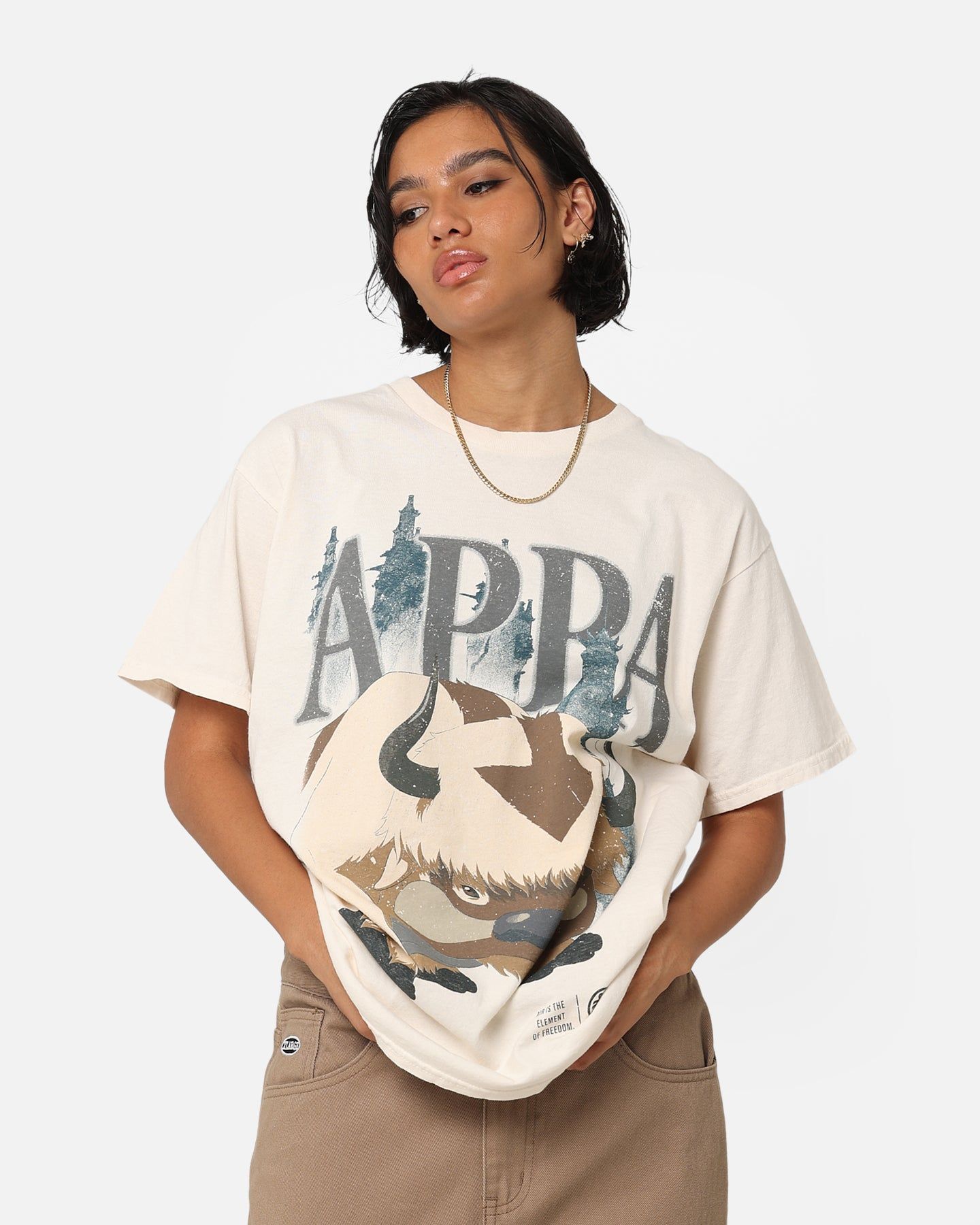 Goat Crew X Avatar: The Last Airbender Appa Vintage T-Shirt Off White sold by Culture Kings