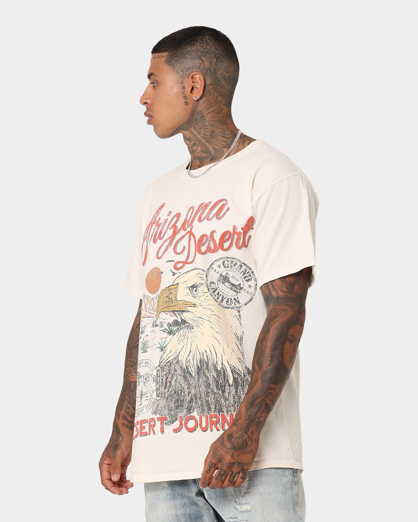 American Thrift Arizona Desert Vintage T-Shirt Off White sold by Culture Kings product image thumbnail 6