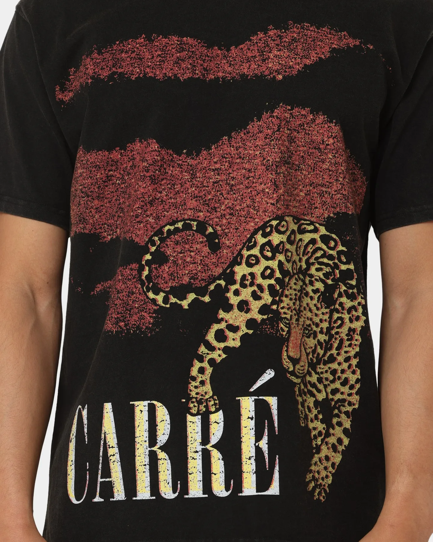 Carré Leo Vintage T-Shirt Washed Black sold by Culture Kings product image thumbnail 4