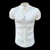 Father Sons Classic Stretch Oxford Short Sleeve Lemon - FS1009 sold by Father Sons