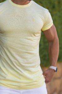 Father Sons Lemon Bamboo Crew T Shirt - FSH745 sold by Father Sons