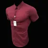 Father Sons Super Slim Stretch Classic Oxblood Red Short Sleeve - FS180 sold by Father Sons