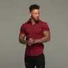 Father Sons Super Slim Stretch Classic Oxblood Red Short Sleeve - FS180 sold by Father Sons