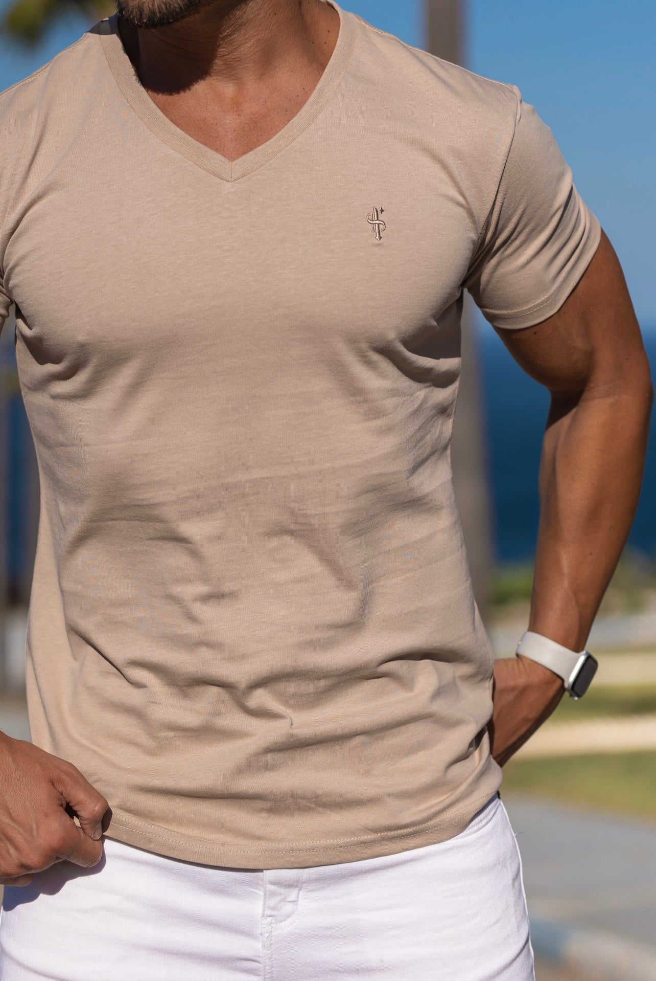 Father Sons Classic Beige V Neck - FSH742 sold by Father Sons product image thumbnail 2