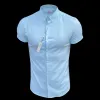 Father Sons Classic Stretch Oxford Short Sleeve Mint - FS1011 sold by Father Sons