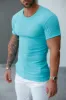 Father Sons Classic Turquoise / Silver Ribbed Knit Super Slim Short Sleeve Crew - FSH1092 sold by Father Sons