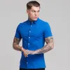 Father Sons Super Slim Royal Blue Jersey Short Sleeve - FSH013 (LAST CHANCE) sold by Father Sons