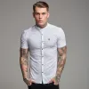 Father Sons Super Slim Stretch Classic White Grandad Collar Short Sleeve - FS172 sold by Father Sons