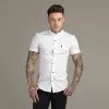 Father Sons Super Slim Stretch Classic White Grandad Collar Short Sleeve - FS172 sold by Father Sons