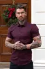 Father Sons Super Slim Scuba Burgundy Short Sleeve Stretch - FS1028 sold by Father Sons