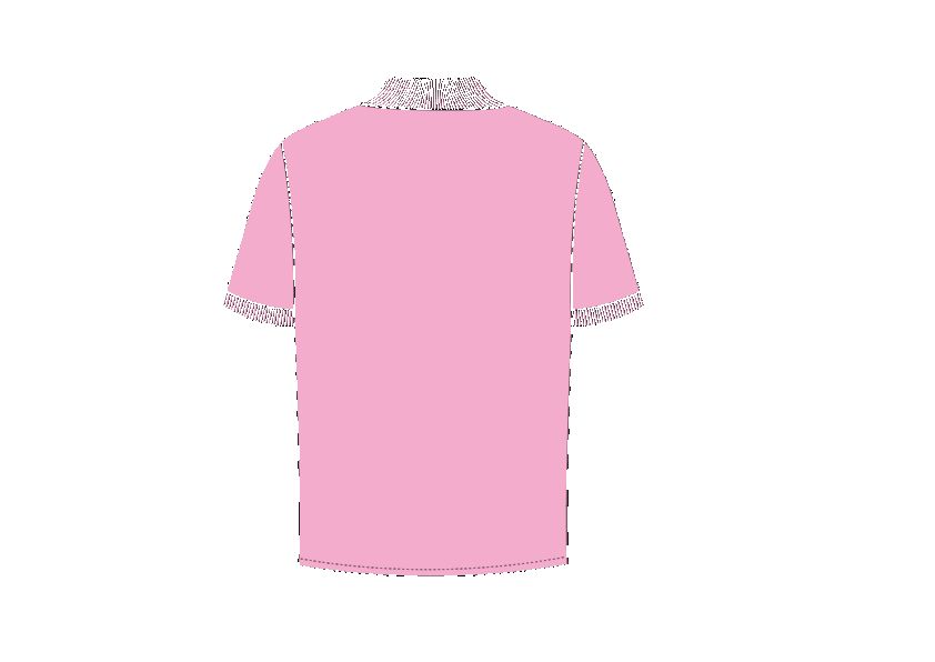 Classic Pink Polo Shirt with Tonal Button and Embroidery - FSH878 sold by Father Sons product image thumbnail 2