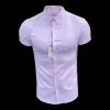 Father Sons Classic Stretch Oxford Short Sleeve Pink - FS1017 sold by Father Sons