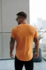 Father Sons Classic Orange Tonal Curved Hem Crew T Shirt - FSH1152 sold by Father Sons