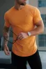 Father Sons Classic Orange Tonal Curved Hem Crew T Shirt - FSH1152 sold by Father Sons