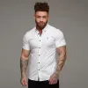 Father Sons Super Slim Stretch Classic Oxford White Short Sleeve - FS301 sold by Father Sons