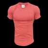 Father Sons Classic Coral Tonal Curved Hem Crew T Shirt - FSH991 sold by Father Sons