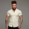 Father Sons Super Slim Stretch Classic Oxford Lemon Short Sleeve - FS315 sold by Father Sons