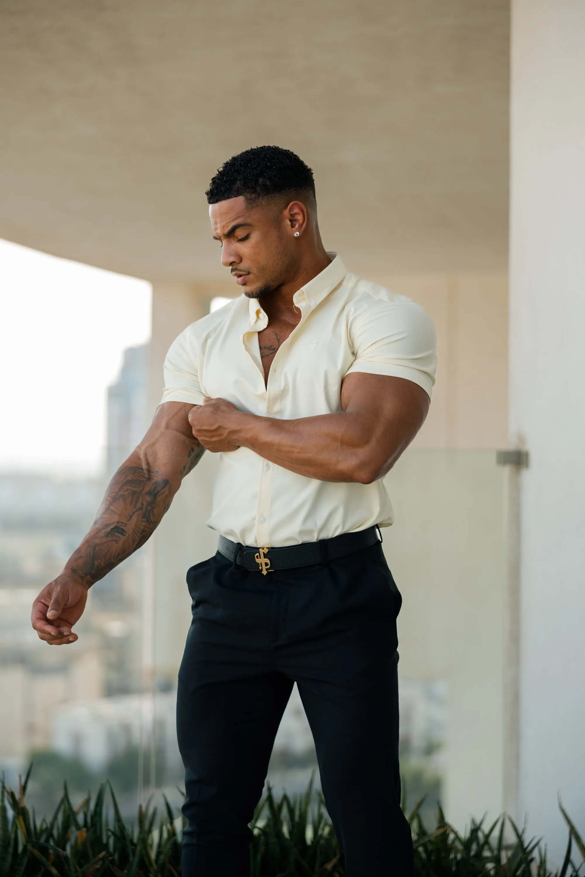 Father Sons Super Slim Stretch Classic Oxford Lemon Short Sleeve - FS315 sold by Father Sons