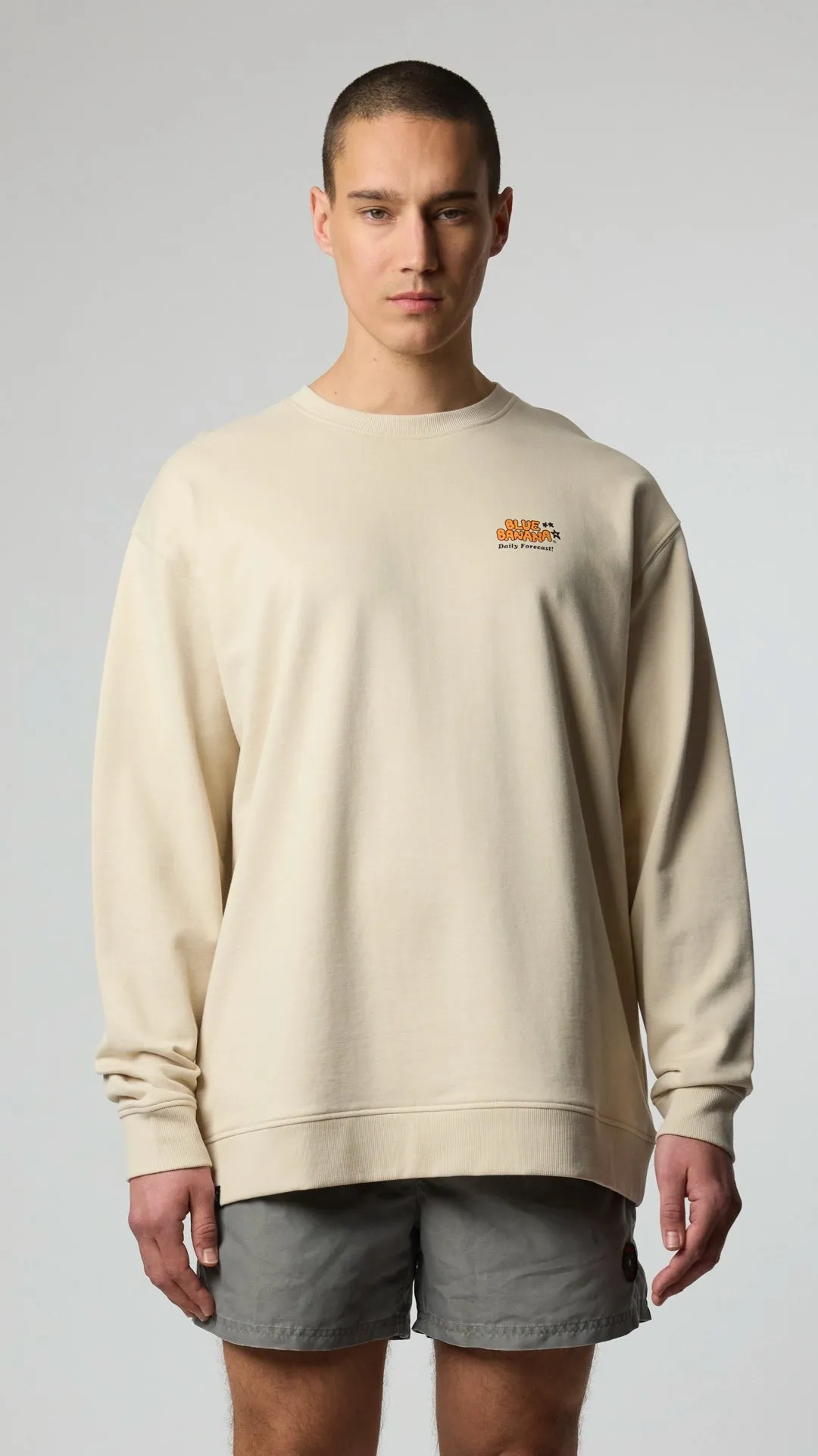 SUDADERA FORECAST FOSSIL sold by Blue Banana product image thumbnail 3