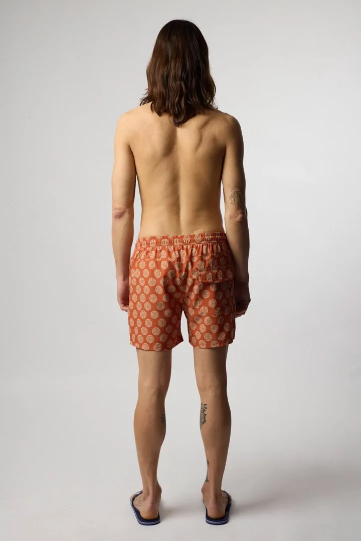 BAÑADOR URCHIN BRICK sold by Blue Banana product image thumbnail 4