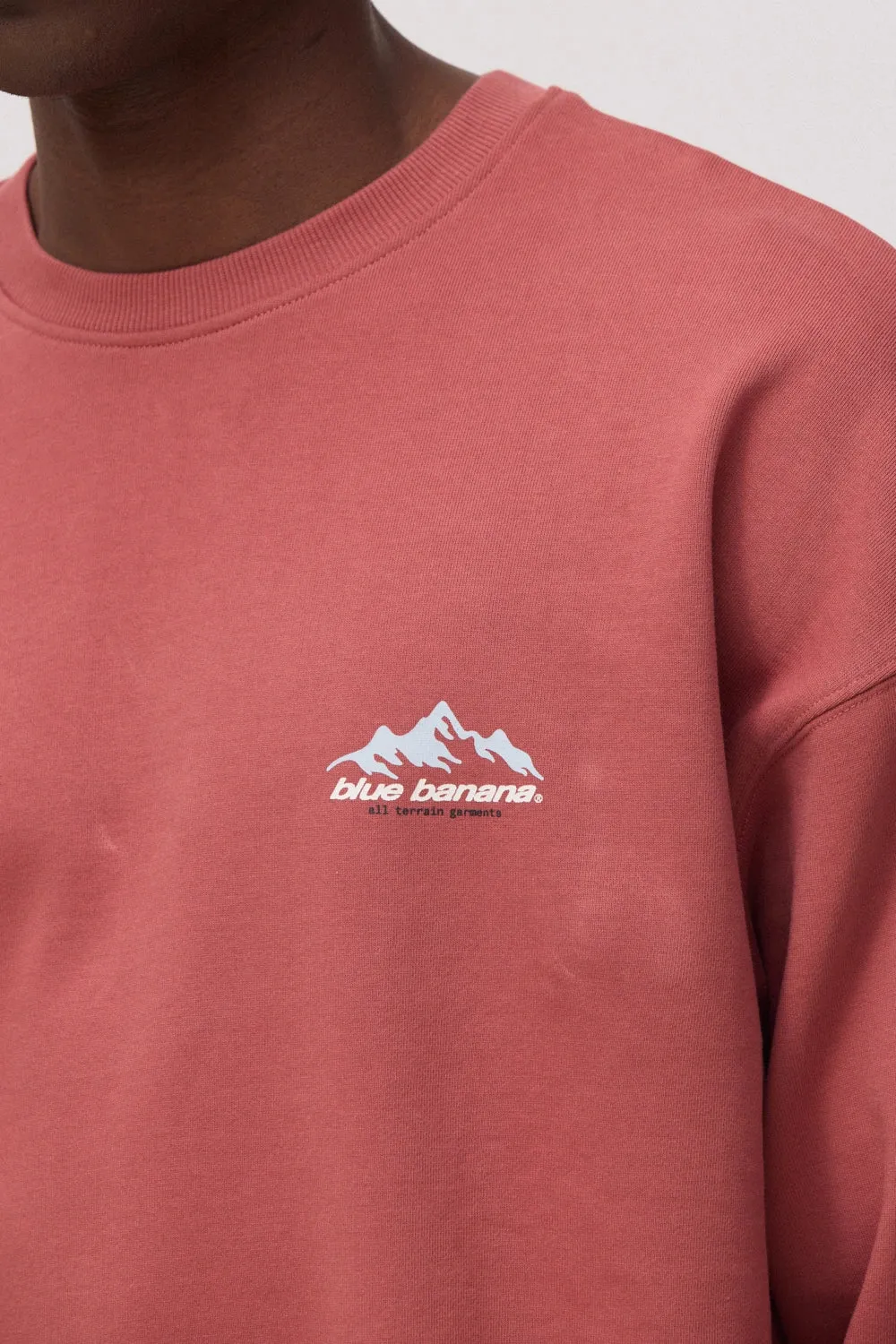 SUDADERA PEAK WINE sold by Blue Banana product image thumbnail 3