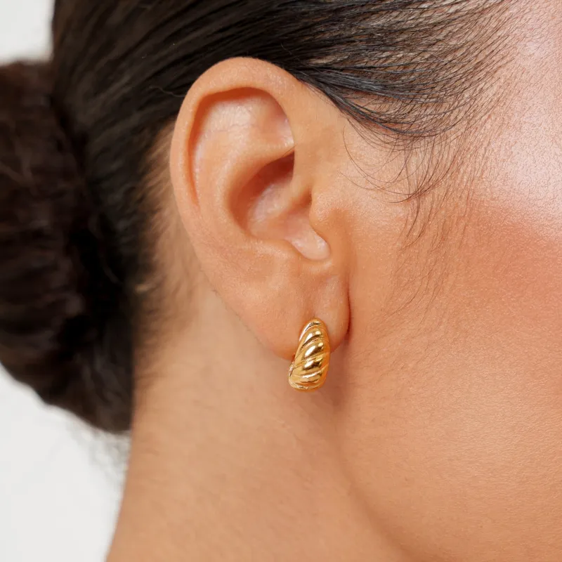 Nautilus Earrings made by Atolea